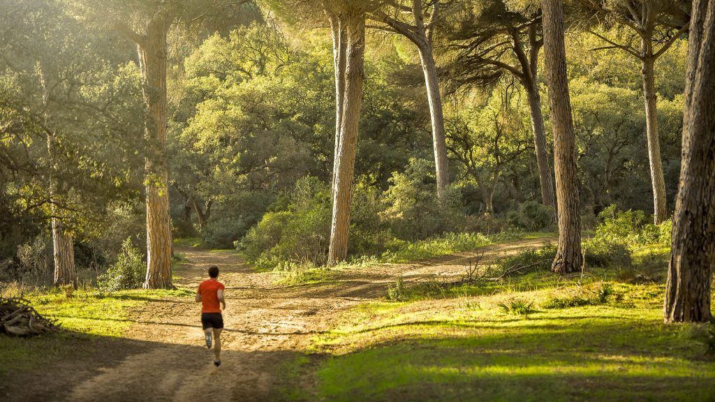 The next image depicts a male jogging in the forest within Sotogrande, enjoying the natural surroundings and recreational opportunities offered by the estate.