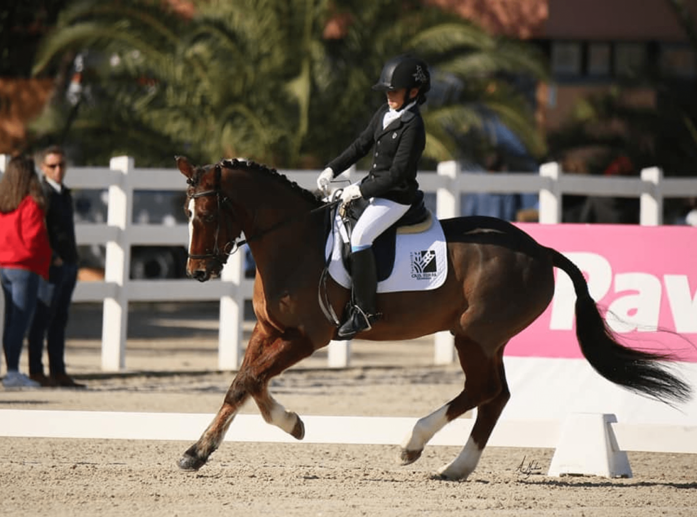 The image captures the elegance and precision of dressage in the refined setting of Sotogrande, exemplifying the sophisticated equestrian experiences available within this prestigious real estate community.