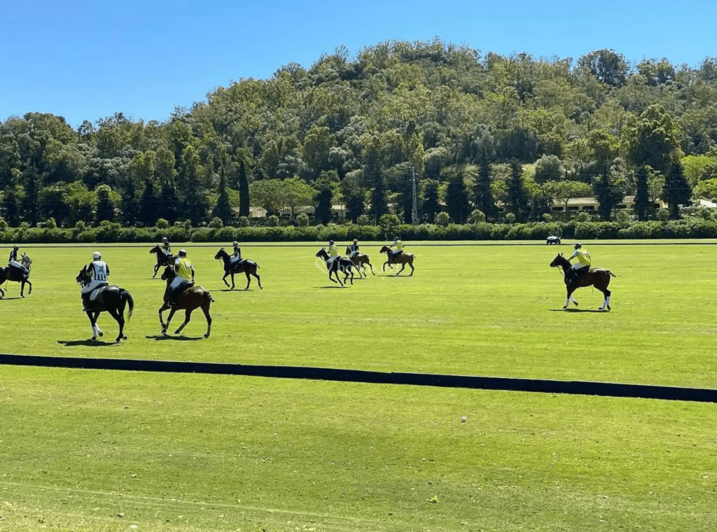 Polo sporting event taking place on a vast field within Sotogrande Real estate.